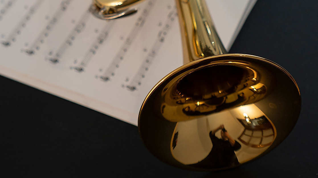 Mare Brass