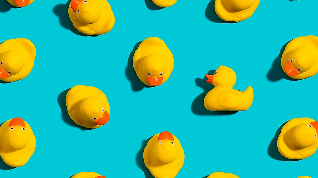 Nikolaus mal anders – Entenessen &amp; Party mit DJ Ente