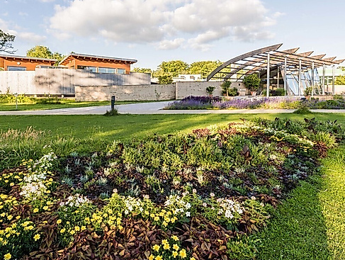 Kurparkführung "Was blüht denn da?"