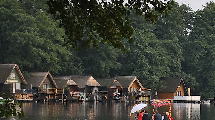 Rund um den Dümmer See