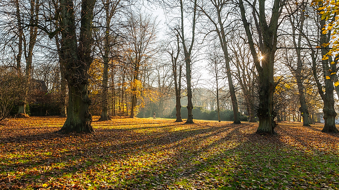 hirschpark_blankenese-elbvororte_c-2018-timo-sommer-lee-maas-1