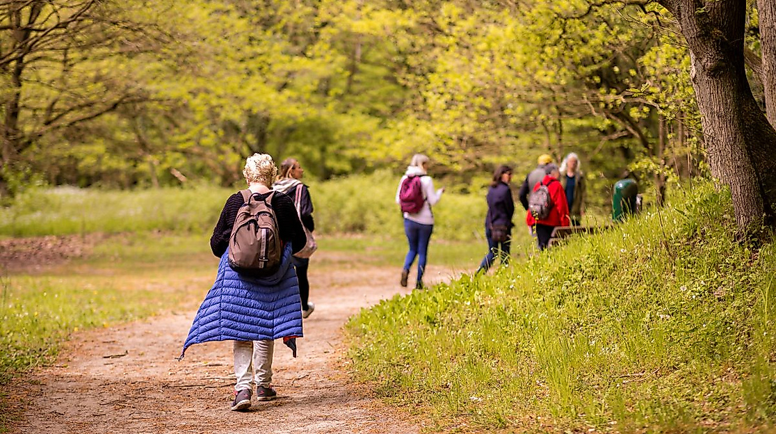 Frühling in Klingberger Wald