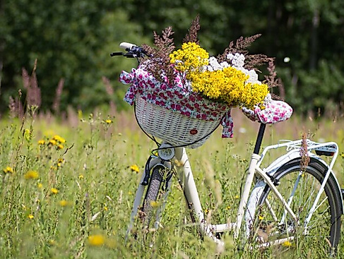Radtour mit dem Radelrudel