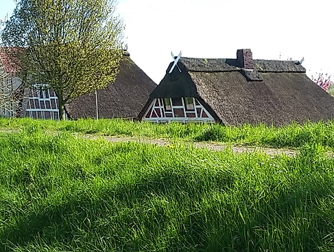 wanderung-finkenwerder-altes-land