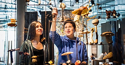 Science Center im Wälderhaus