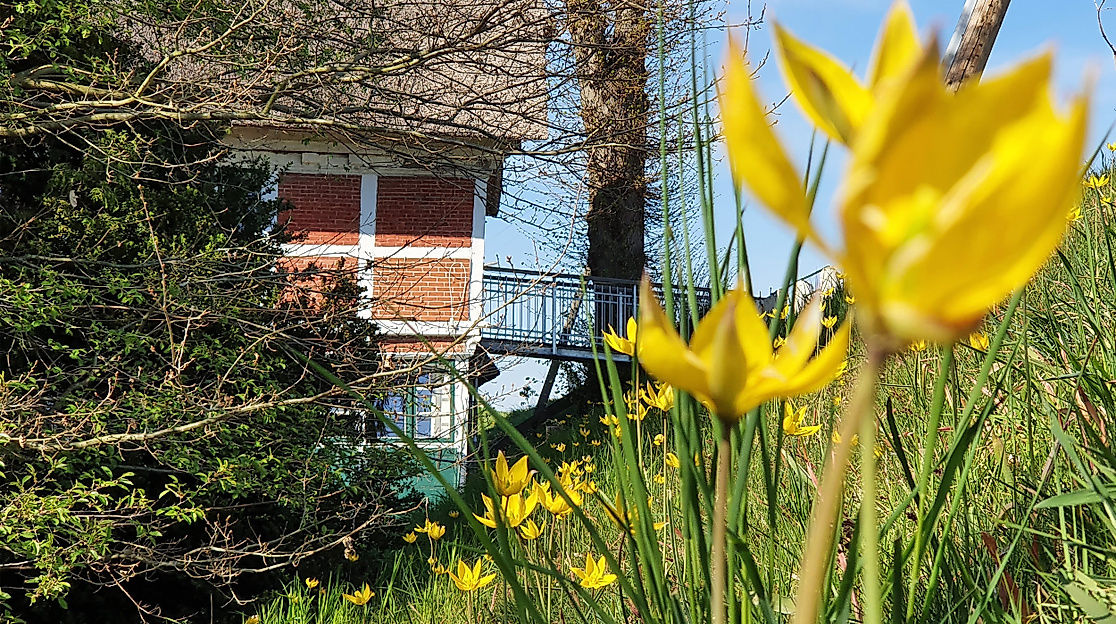 Haus Anna Elbe Wiese