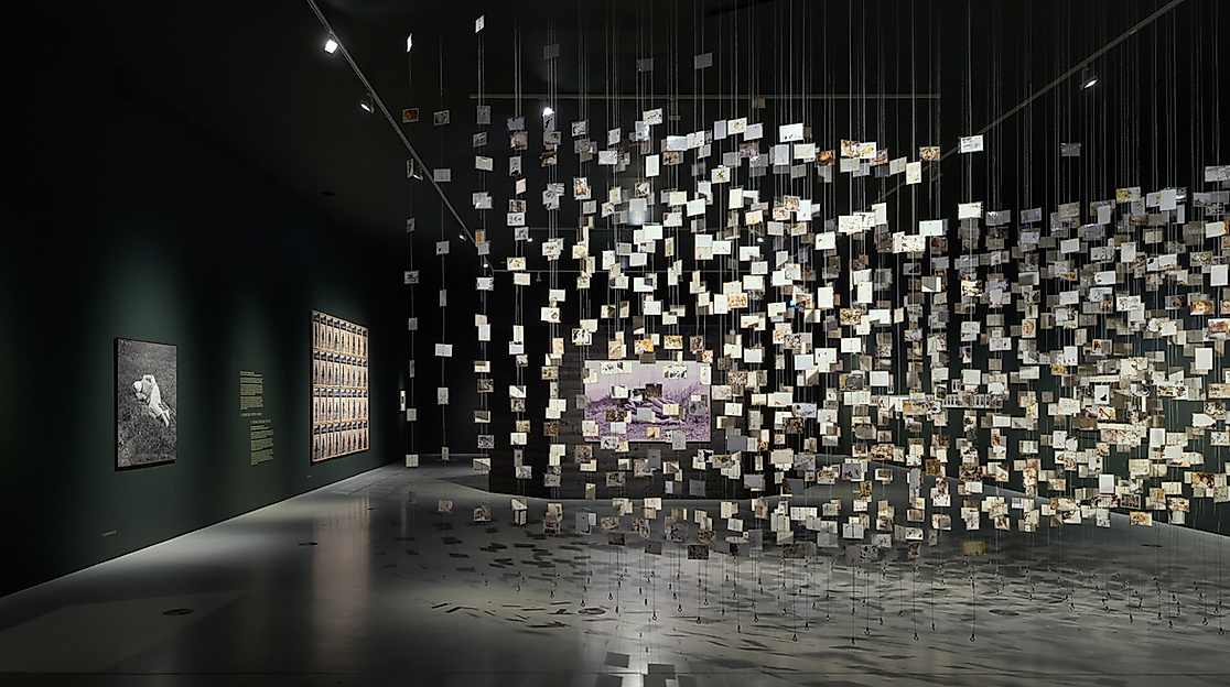 ART X LANDSCAPES OF CLIMATE CHANGE