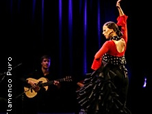 Flamenco Puro
