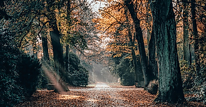 Ohlsdorfer Friedhof
