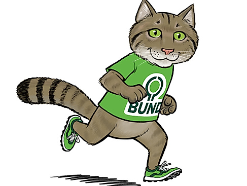 Wildkatzenlauf 2025