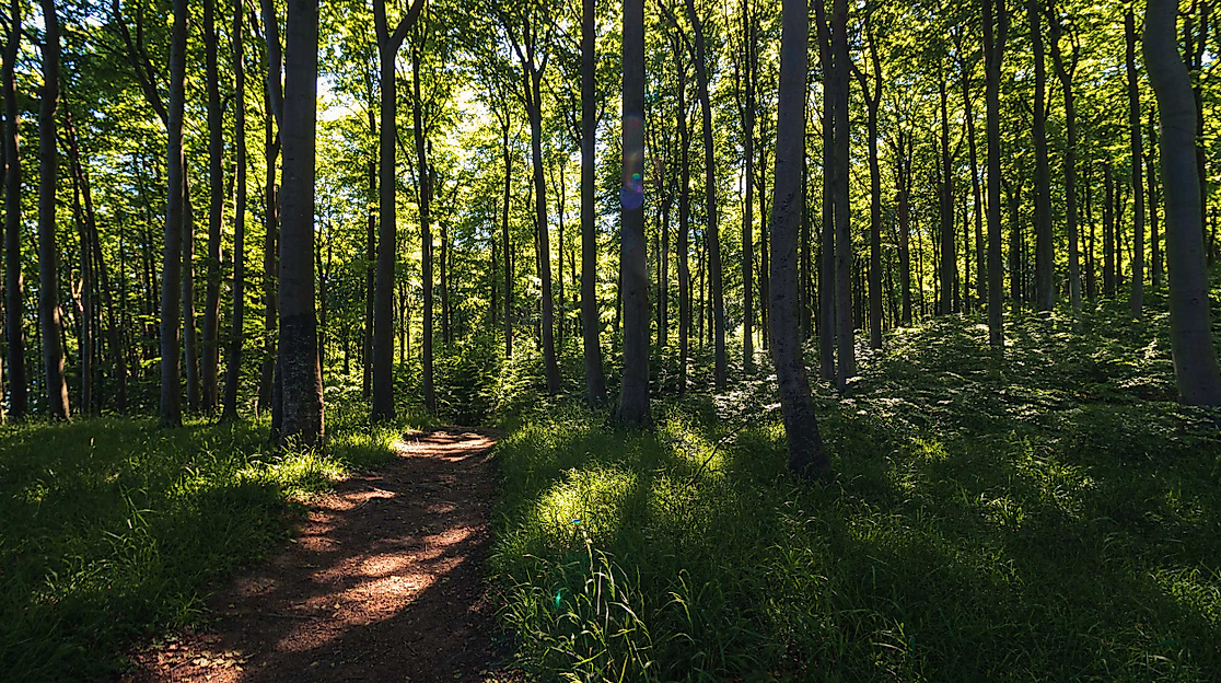 hahnheide-trittau-routen-station-c-unsplash-matthias-pens