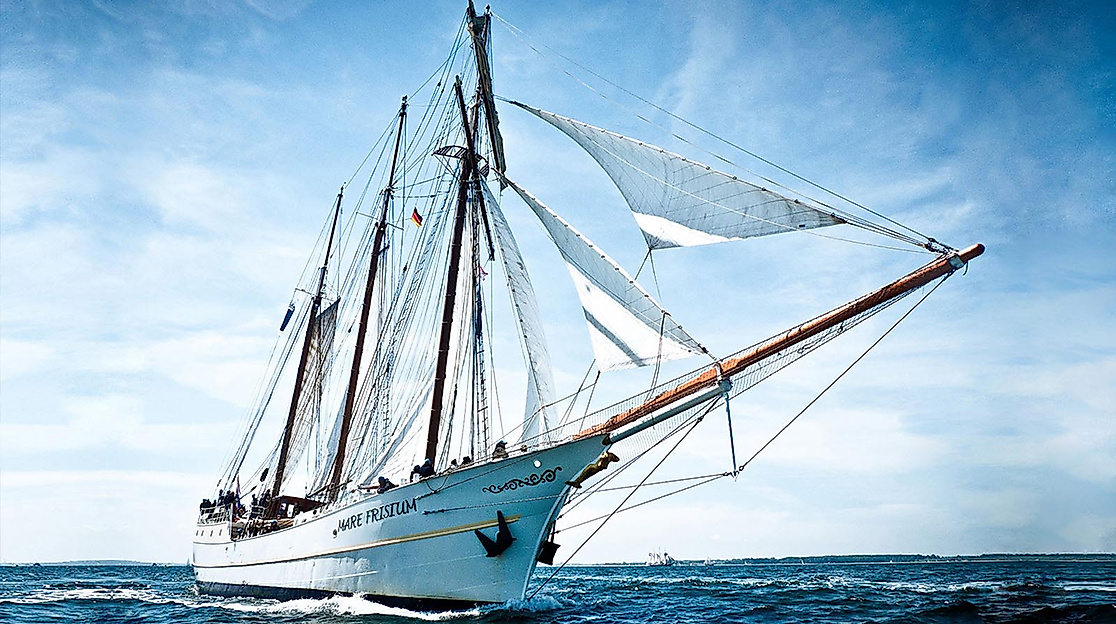 Barbecue unser Segeln auf der Elbe - Windjammer Mare Frisium