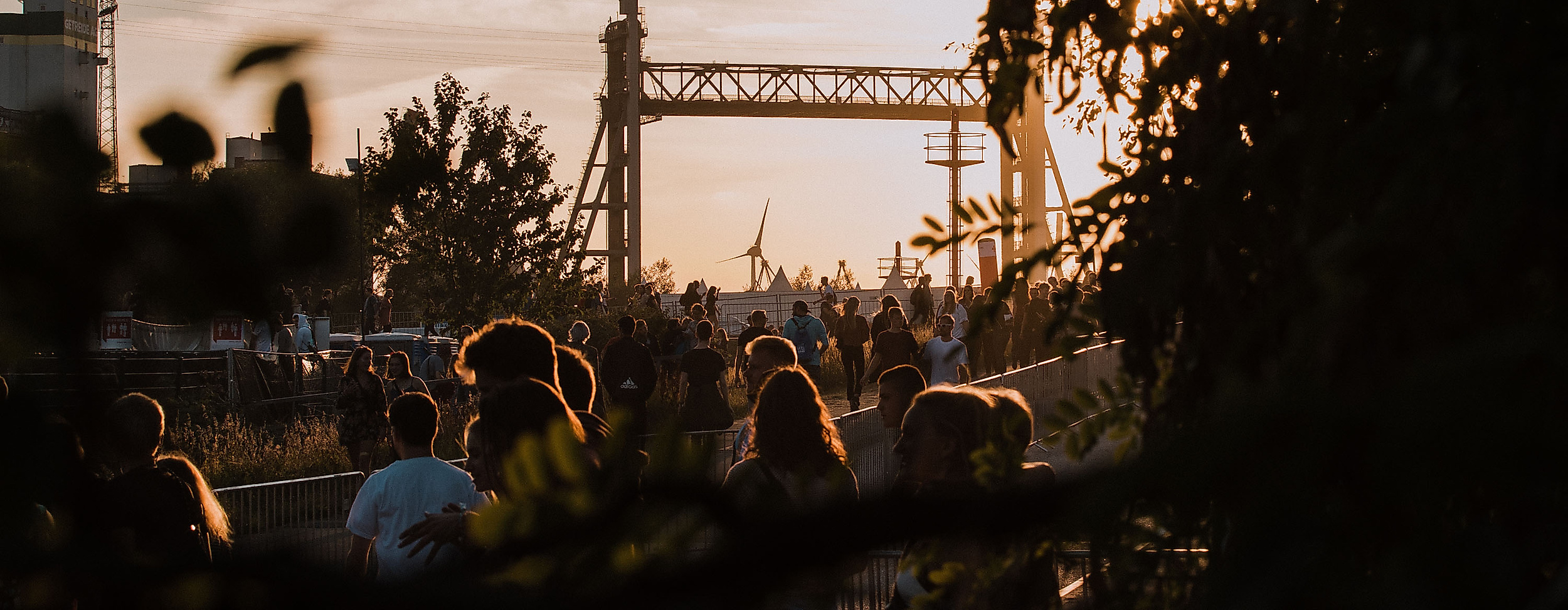 Ms Dockville Festival