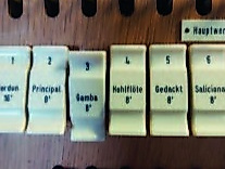 Gambe und Hauptwerk