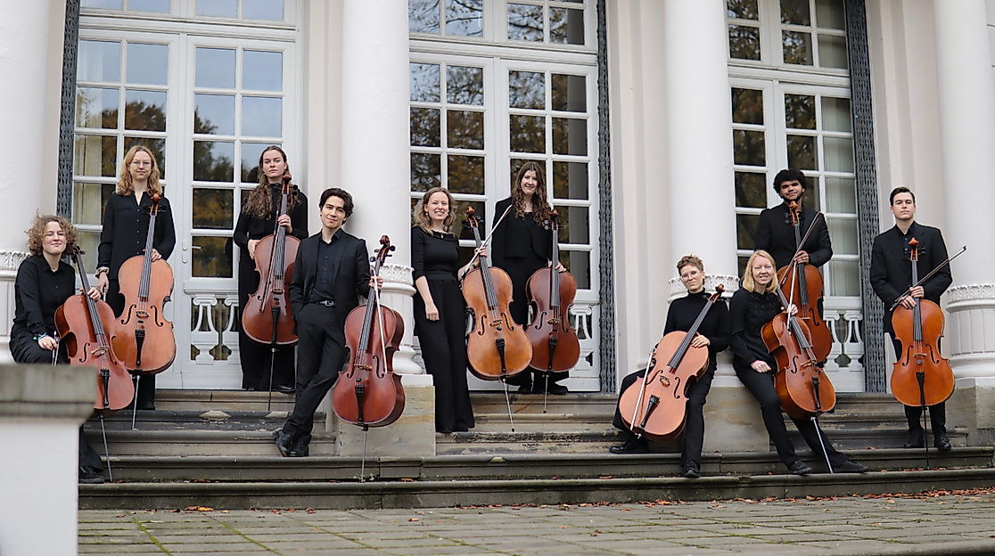 Cello-Manifesto