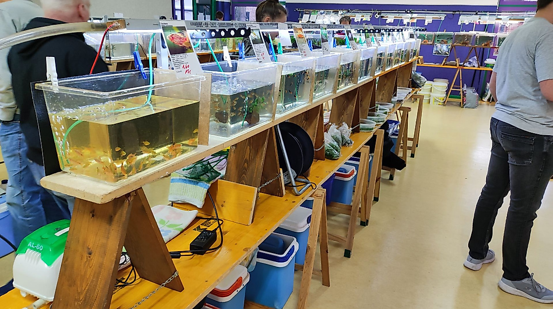 Ansicht einer Beckenreihe