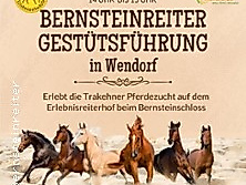Gestütsführung Wendorf