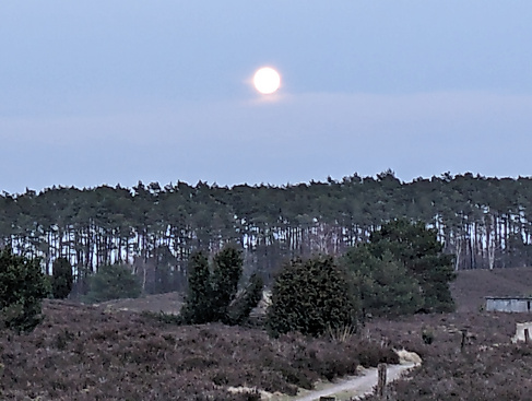 Vollmond über der Undeloher Heide