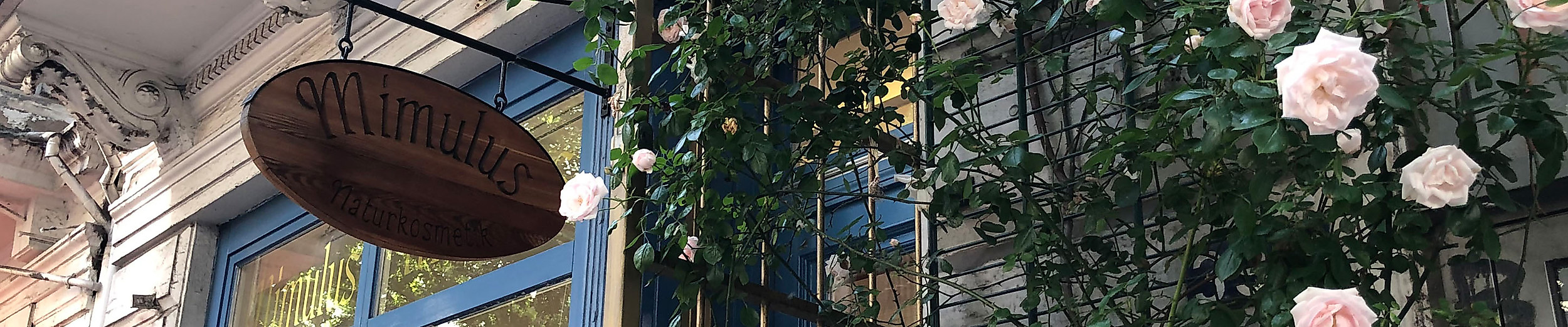 Ladenfront des Mimulus