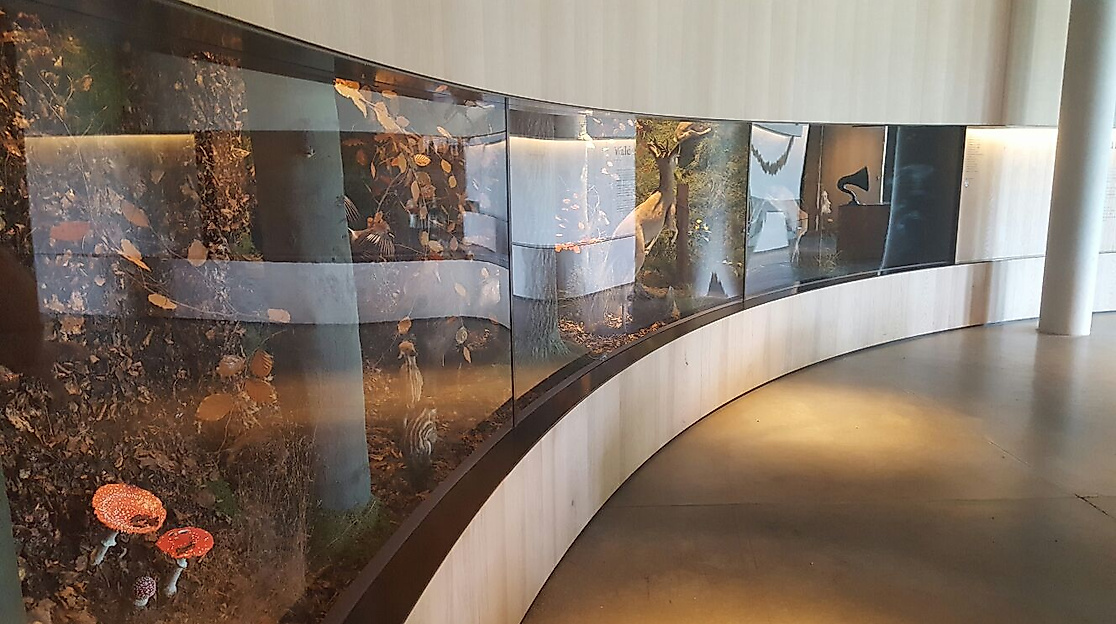 Science Center im Wälderhaus