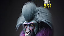 Guano Apes - Free The Monkey Tour 25/26