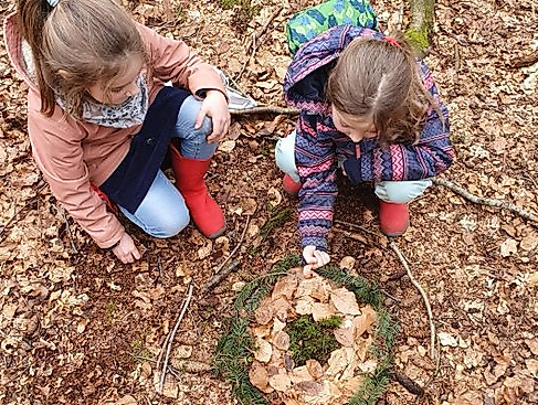 Wald-Entdecker