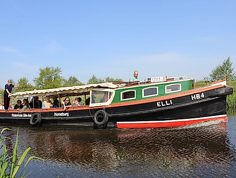 Elli 2024