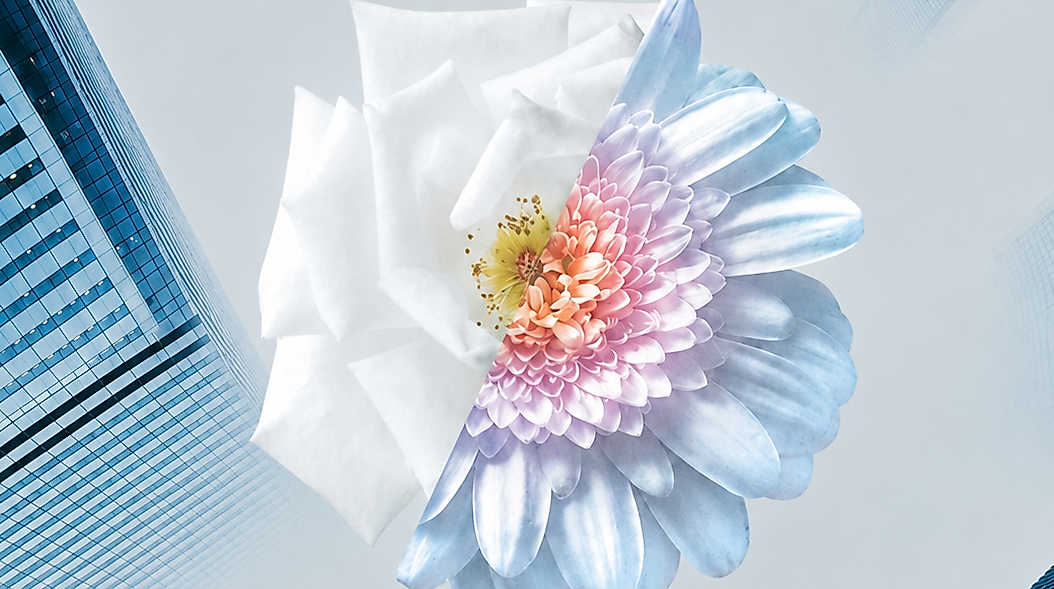 stadtblume_artwernercompany_2