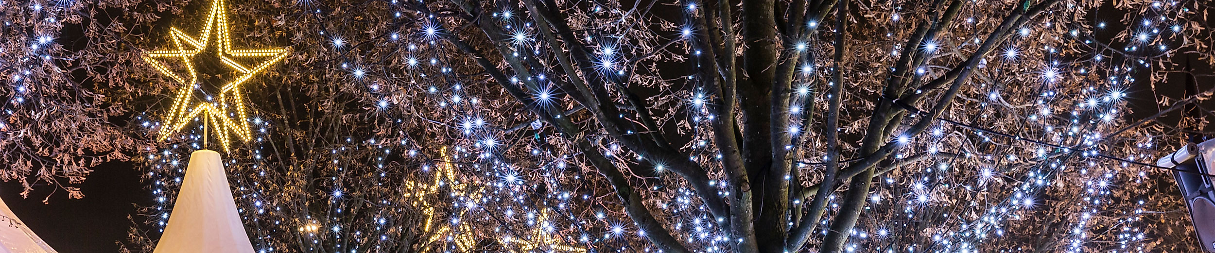 Leuchtende Sterne und Lichterbäume schmücken den Weihnachtsmarkt Weißer Zauber an der Alster.