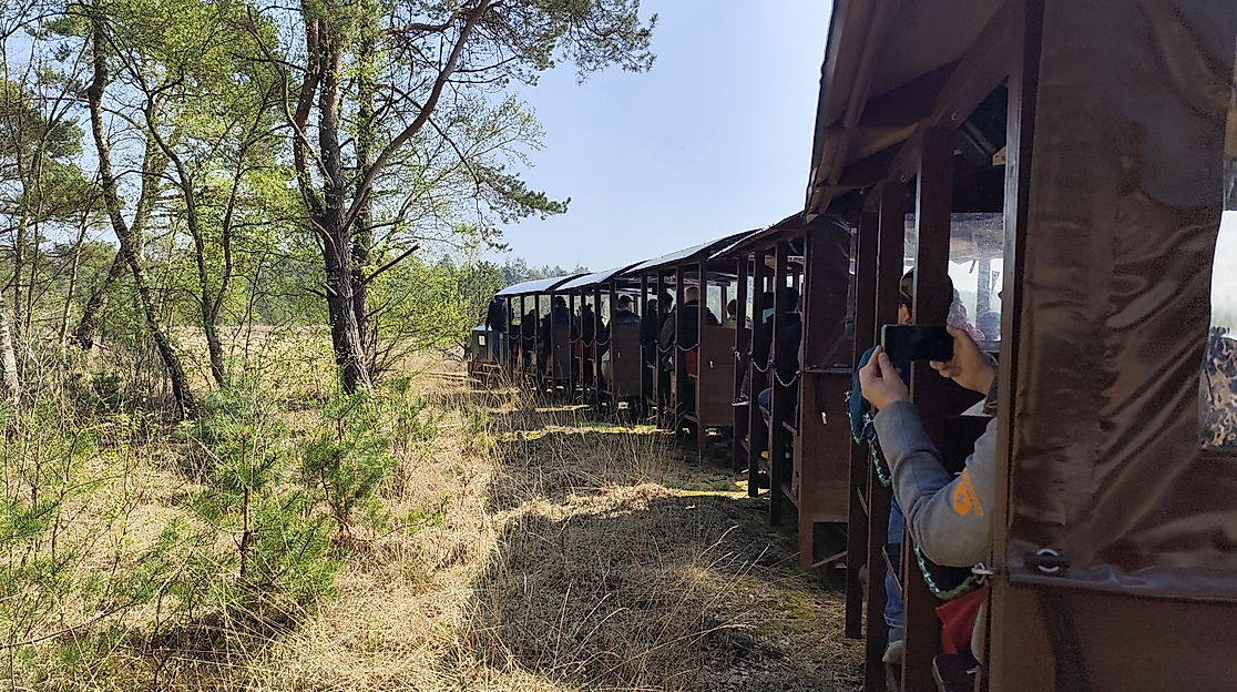 Sommerfest der Moorbahn Burgsittensen