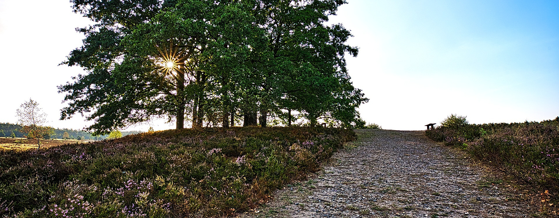 Lueneburger Heide