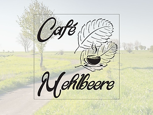 Botanischer Strandspaziergang "Sanddorn, Strandhafer und andere Überlebenskünstler"