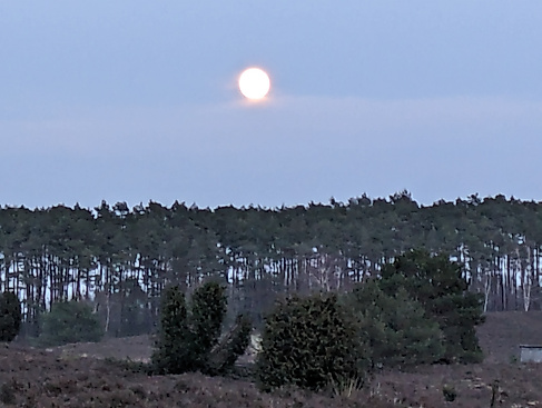 Vollmond über der Heide