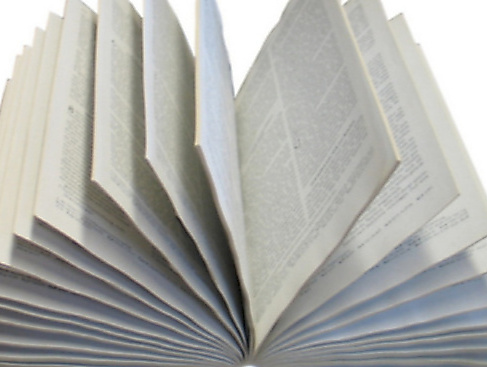 Gespräch zu biblischen Themen