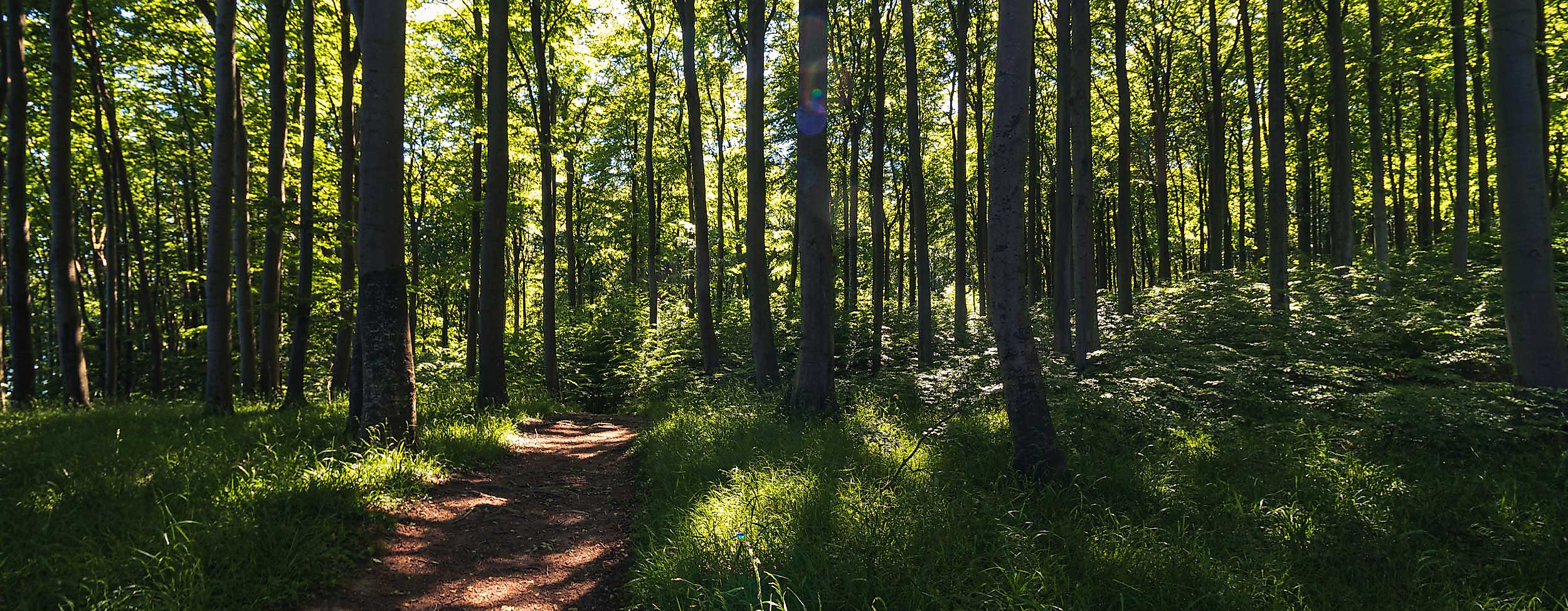 hahnheide-trittau-routen-station-c-unsplash-matthias-pens