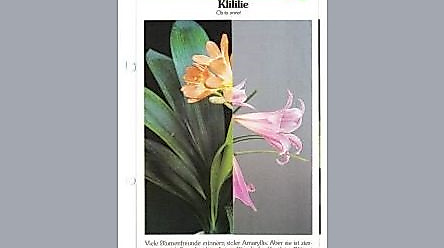 25-09-30 Lose Blätter aus dem Buch der Natur Erdmute Prautzsch