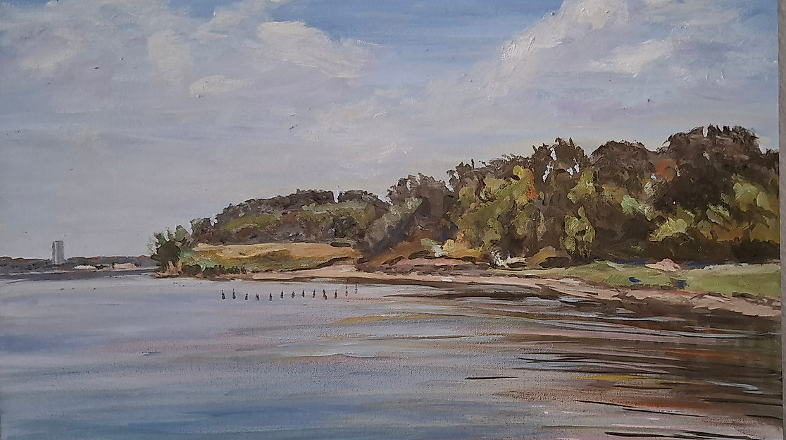 Das Naturschutzgebiet Salzwiesen in Neustadt bietet Vögeln Rast- und Brutplätze.