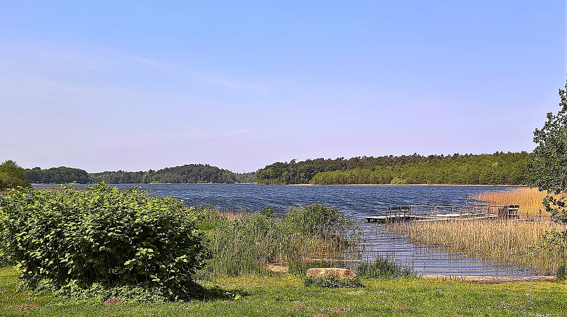 schaalsee_blick-auf-see_c-2018-monika-schroeder-Pixabay