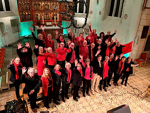 Gospelchor "Fire & Soul"