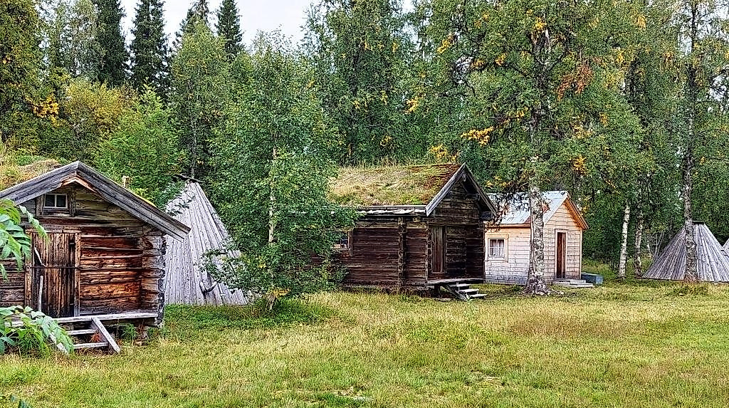 25-11-25 Lappland Wolf Leichsenring