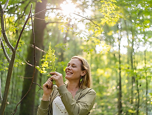 Waldbaden in Hamburg und Schleswig-Holstein mit Waldimpuls-Hamburg