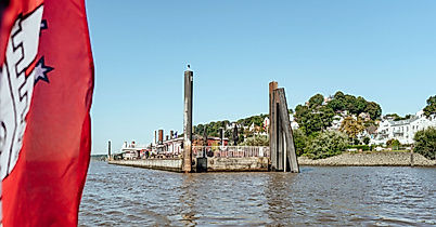 web_fischclub-blankenese3_lisa-knauer