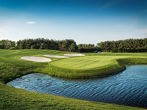 Green Eagle Golf Courses