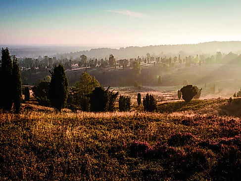 Busausflug Wilsede mit Kutschrundfahrt