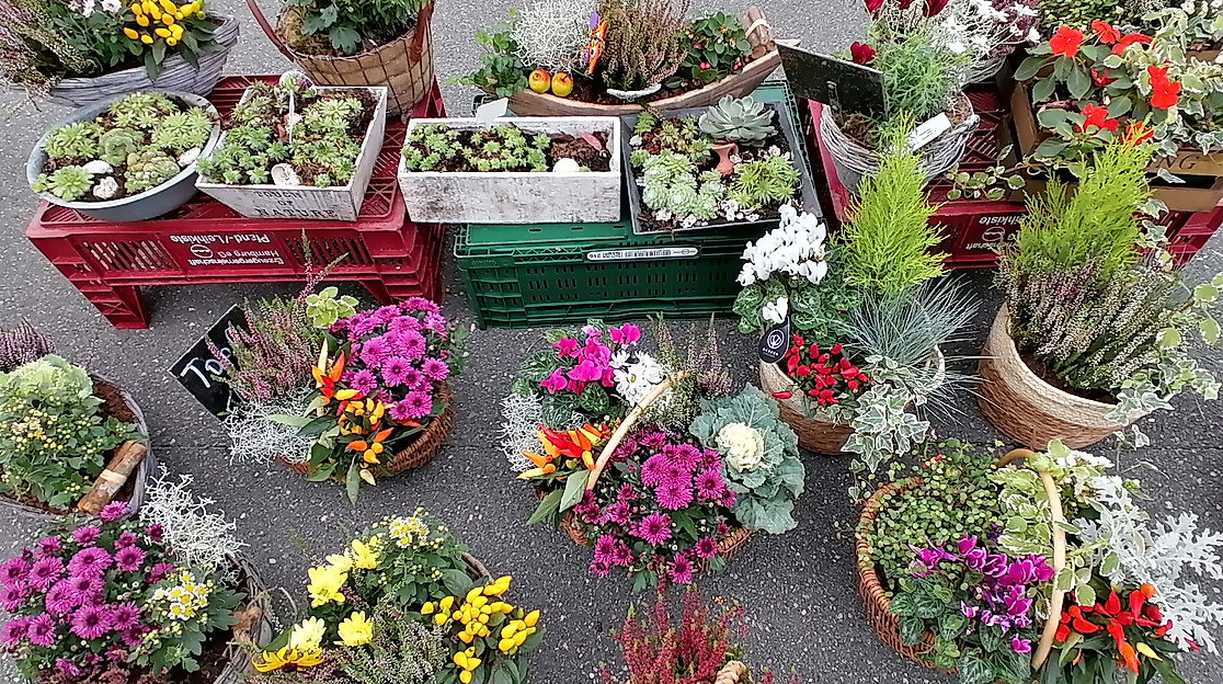 Markttag in Wesselburen