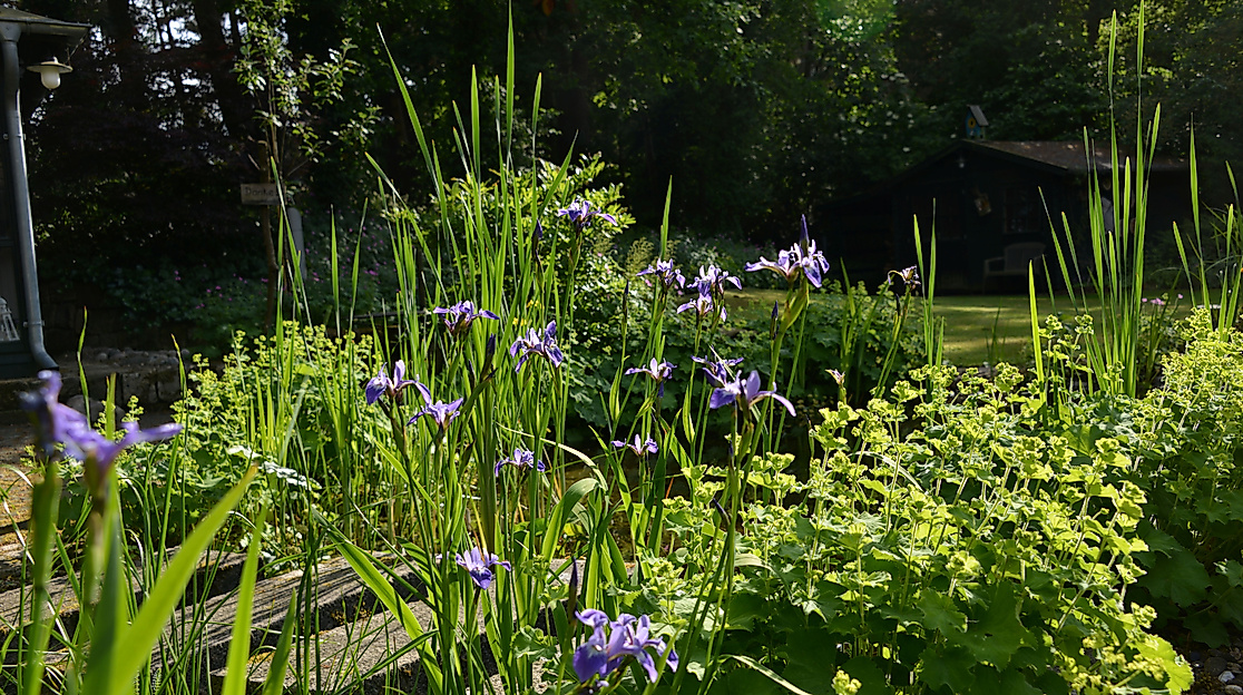 Gartenöffnung Landschaftsgarten