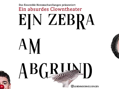 Ein Zebra am Abgrund
