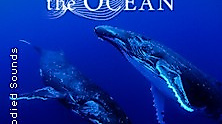 Sounds of the Ocean