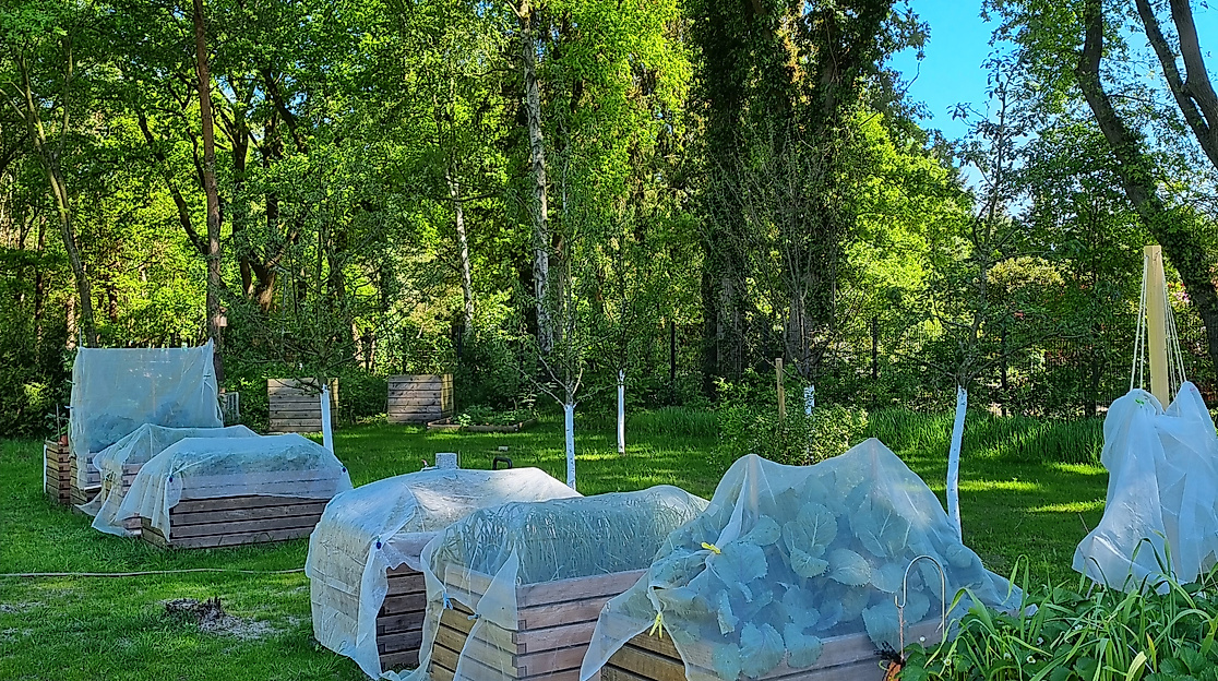 Nutzgarten im Cottage Garten