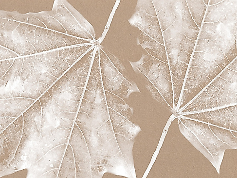 Fantastisches Waldwesen stempeln